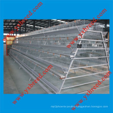 Pymarid Type Battery Cages